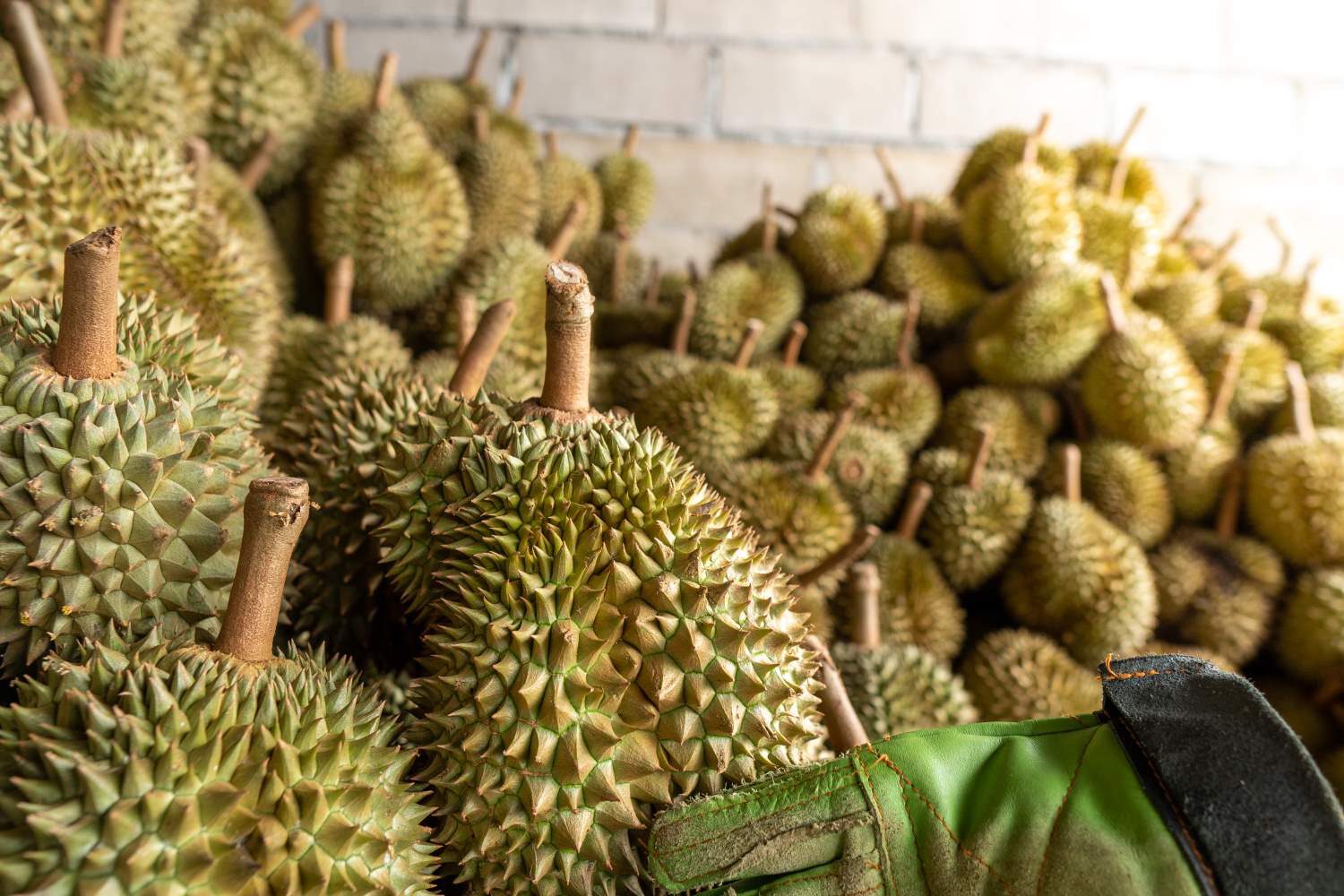 seasonal-durian-is-being-sold-to-traders-for-export-to-china-2