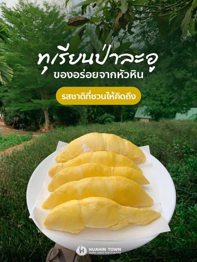 durian-1629324