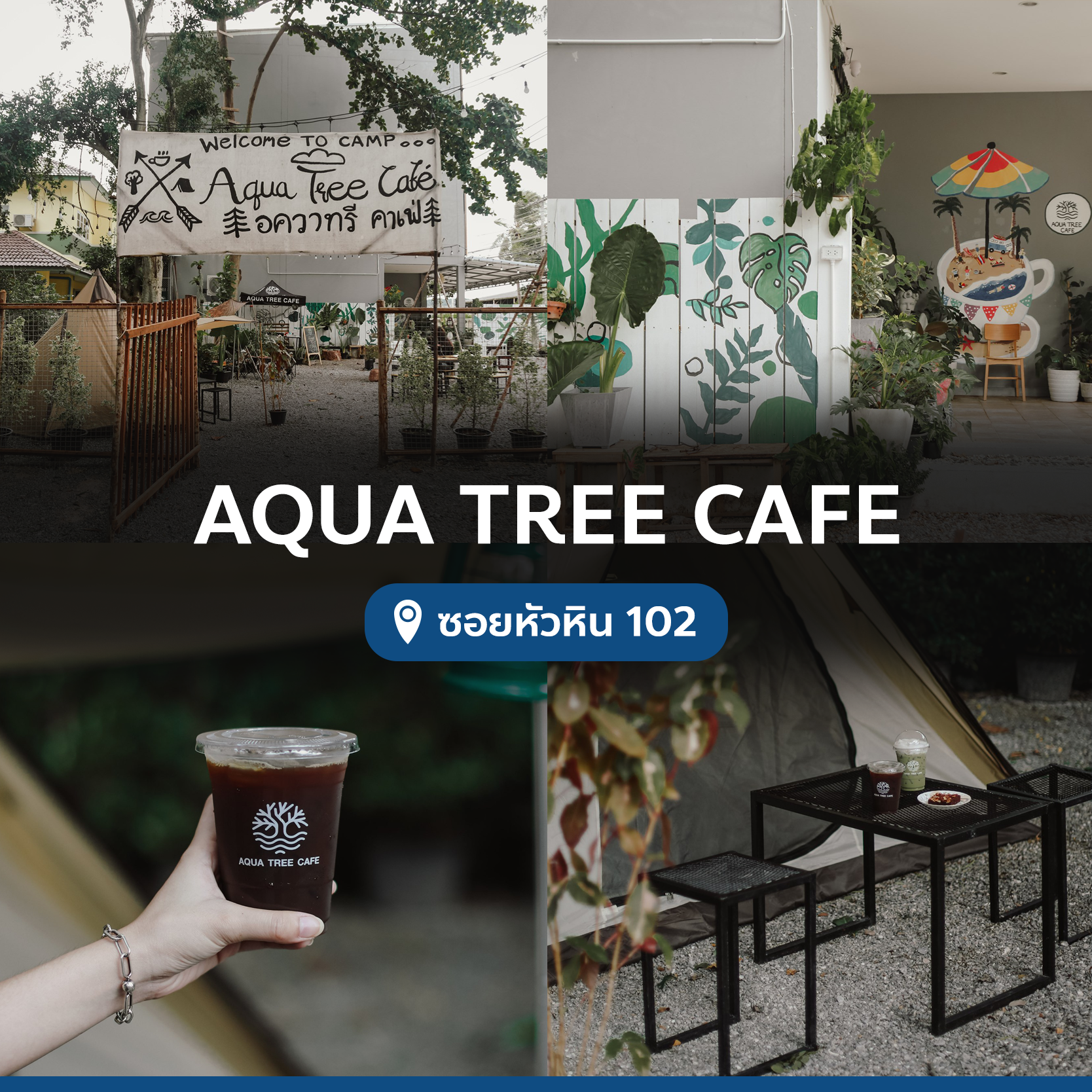 aqua-tree-cafe-4743411