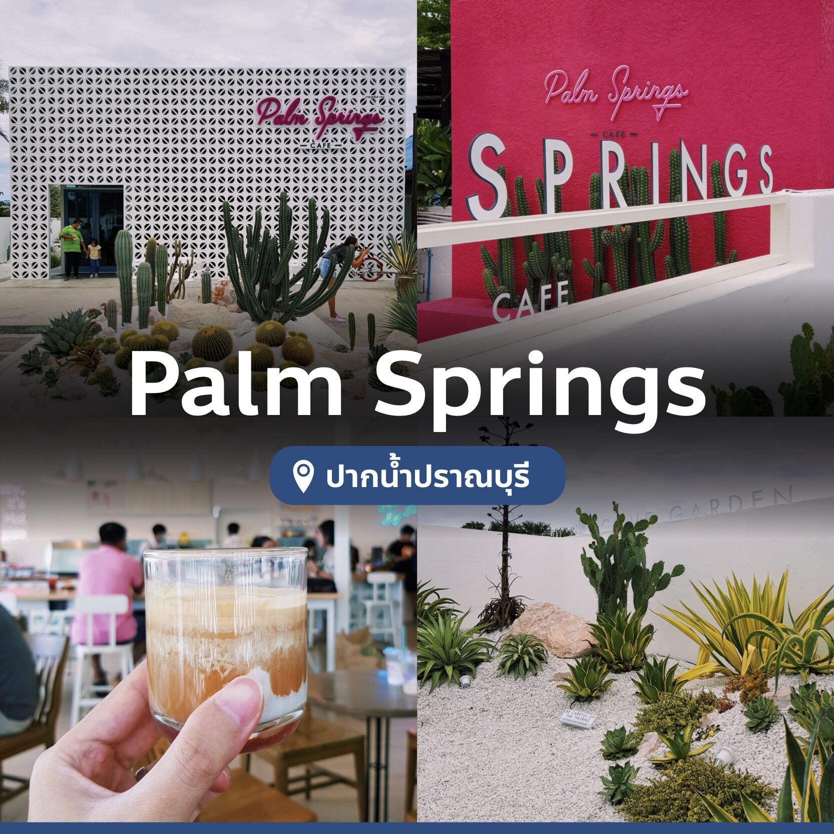 palm-spring-7126119